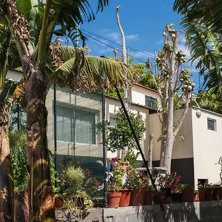 House Teixeira