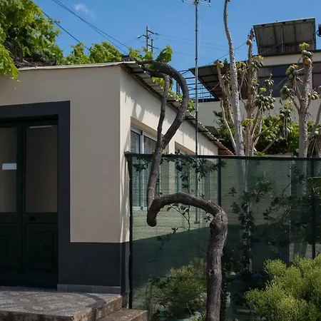 בית הארחה House Teixeira *